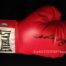 Sugar Ray Leonard Autographed Boxing Glove