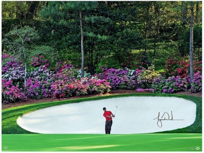 Tiger Woods Autographed Masters Amen Corner Photograph - unframed