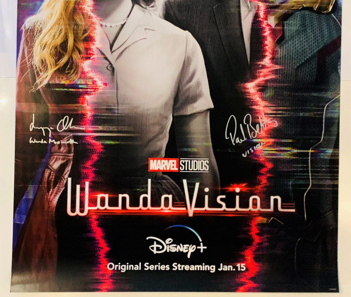 WandaVision Movie Poster Autographed by Paul Bettany and Elizabeth ...